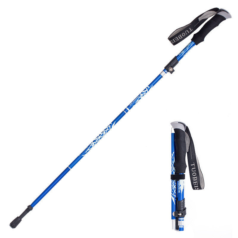 Blue hiking stick